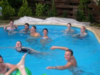 Highlight for Album: Poolparty