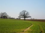 den boom intecht